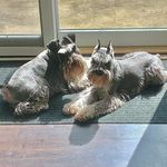 Jonathan Lodge - @jonathanlodge_ - Instagram