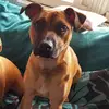 Jonathan Logan - @jonathan.logan78 - TikTok