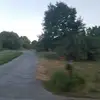 Jonathan Logsdon - @jonathanlogsdon0 - TikTok