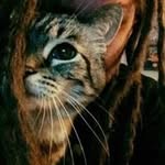 jonathan lookadoo - @jonathanlookadoo - Instagram