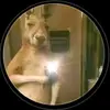 Jonathan Loza - @jonathan.loza822 - TikTok