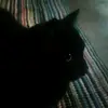 jonathanluffman294 - @jonathanluffman2992 - TikTok