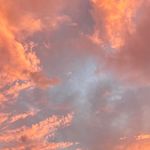 Jonathan Maes - @jonathan_maes - Instagram