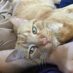 Jonathan Mann - @jonathan_mann - Instagram