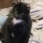 @jonathan_maples1232 - Instagram