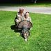 Jonathan Marlow - Facebook
