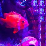 Jonathan Price-Marlow - @jonathanpricemarlow - Instagram