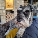 Jonathan Marriott - @jpmarriott1971 - Instagram