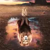 Jonathan Marte - @jonmarte.va - TikTok