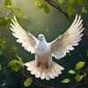🌻Peace🕊️Maker💐 - @jonathanmawuenyega - TikTok