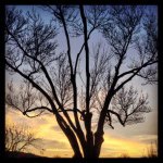 Jonathan McAdams - @jonmcadams - Instagram