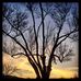 Jonathan McAdams Photography - Facebook
