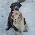 Jonathan L. McBride - @jonathanl.mcbride - Instagram