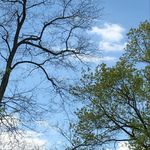Jonathan Mcbride - @jonathanmcbride1 - Instagram