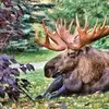 Jonathan Mcculler - @jonathan.mcculler - TikTok