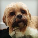 Jonathan Mcgregor - @jonathan_123_mcgregor - Instagram