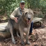 Jonathan McGuigan - @jonathan.mcguigan.37 - Instagram