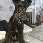 Jonathan McHenry - @rnr818181 - Instagram