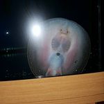 Jonathan Mckee - @jonathan.mckee3 - Instagram