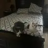 Jonathan McKee - @jonathan.mckee68 - TikTok