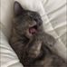 Jonathan McLaughlin - Facebook