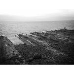 Jonathan Means - @wallovant - Instagram