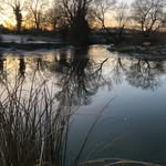 Jonathan Means - @beany2966 - Instagram