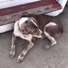 jonathan mears - @jonathan.mears09 - TikTok