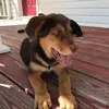 Jonathan.mears - @jonathan.mears23 - TikTok