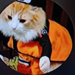 Jonathan Menefee II - @j2thegoat - Instagram