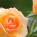 Jonathan Merrick - Facebook