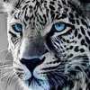 Johnathan Mickey - @johnathan.mickey - TikTok
