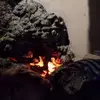 Jonathan Moldenhauer - @jonathan.moldenha - TikTok