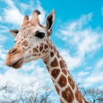 Jonathan Monk - @jurrafbusiness - Instagram