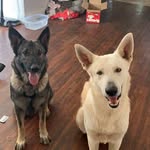 Jonathan Monk - @terra_jack_bailey_gram - Instagram