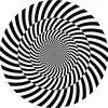.Jonathan.Moore - @.jonathan.moore - TikTok