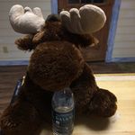 Jonathan Moose - @jonathan_the_moose - Instagram