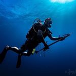 Jonathan “Moose” Howard - @divingmoose - Instagram