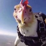 Jonathan Adrian Morataya - @jonathanadrianmorataya - Instagram