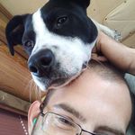 Jonathan Morrow - @jonathanmorrow226 - Instagram