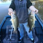 Jonathan Mounts - @bass.projm - Instagram