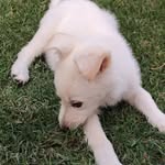 Jonathan Mouton - @jonathan.mouton2011 - Instagram
