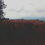 Jonathan Müller - @_jonathan_mueller_ - Instagram