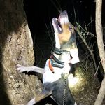Jonathan Mullis - @mullis5.9_ - Instagram