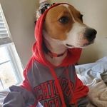 Jonathan Napier - @napes909 - Instagram
