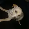 jonathannapier6957 - @jonathannapier6957 - TikTok