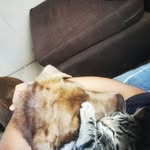 Jonathan Neira Cruz - @jonathanneiracruz - Instagram