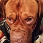 Nathan Nemech - @jonathannemech - Instagram