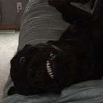 Jonathan Neville - @jonathan.neville.12 - Instagram