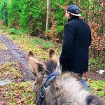 Jonathan Noack - @jonathannoack - Instagram